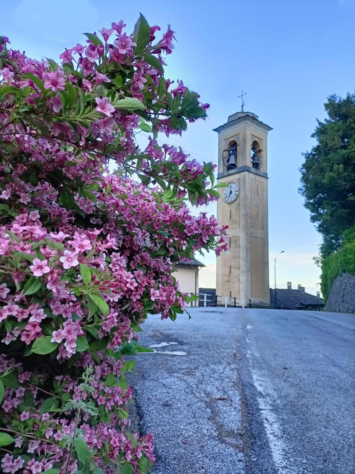 Bed and Breakfast Beb Aria Di Montagna Forcola Esterno foto