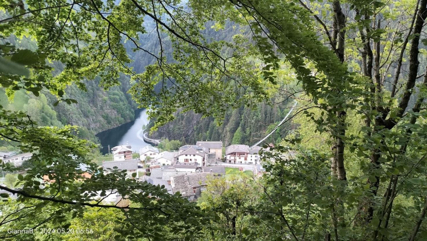 Bed and Breakfast Beb Aria Di Montagna Forcola Esterno foto